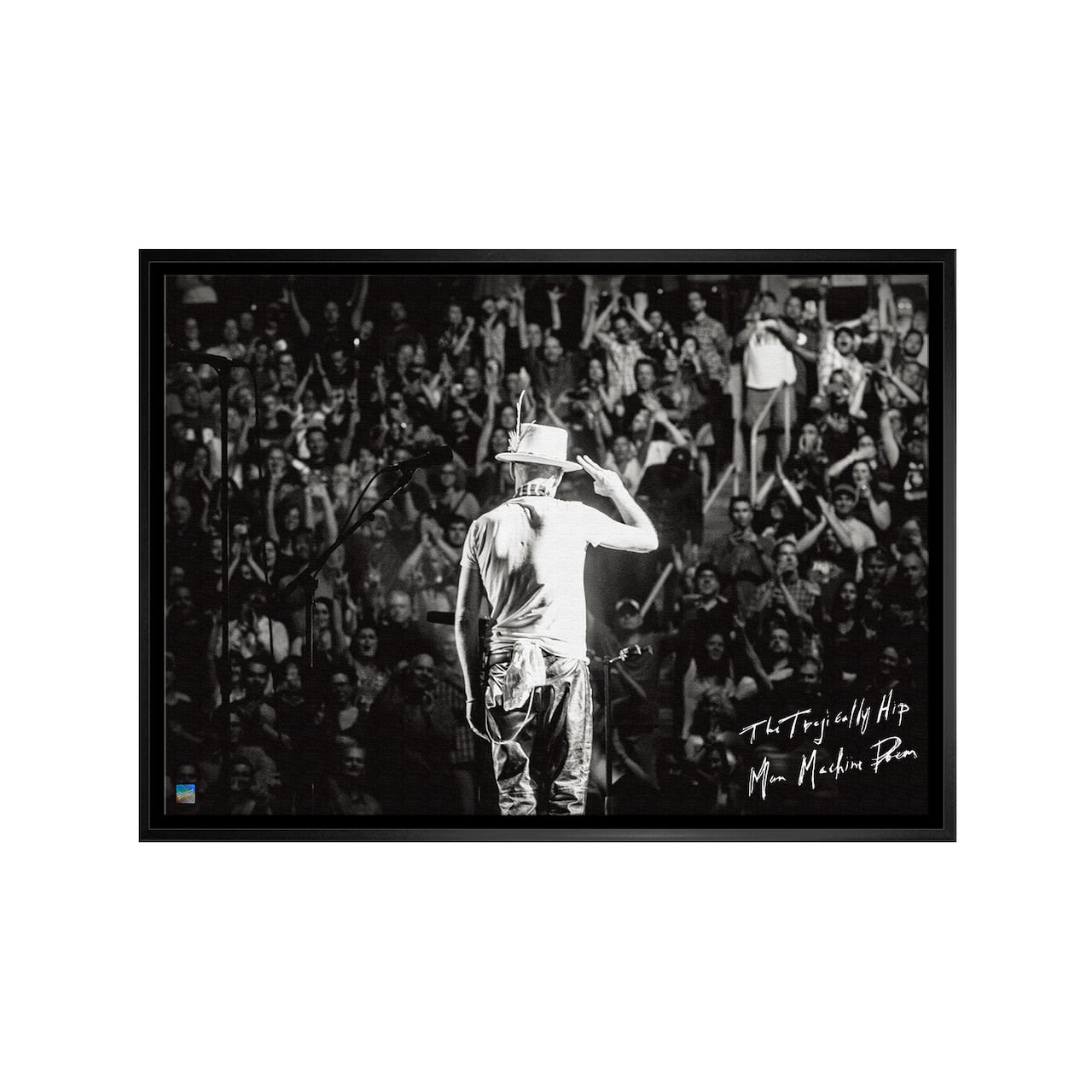 The Tragically Hip Framed 20" x 29" Gord Downie Salute Canvas 31" x 22"